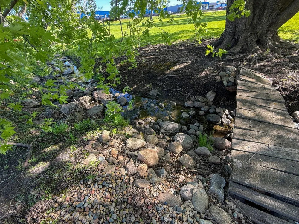 406 2nd Street NE Dodge Center, MN 55927