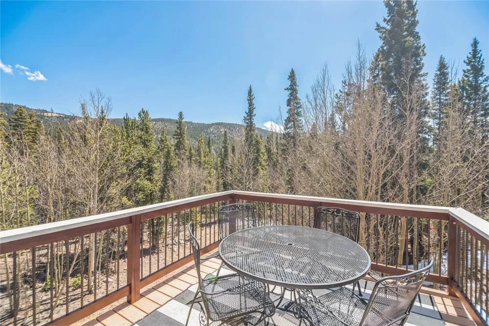 496 Quartzville Road Alma, CO 80420