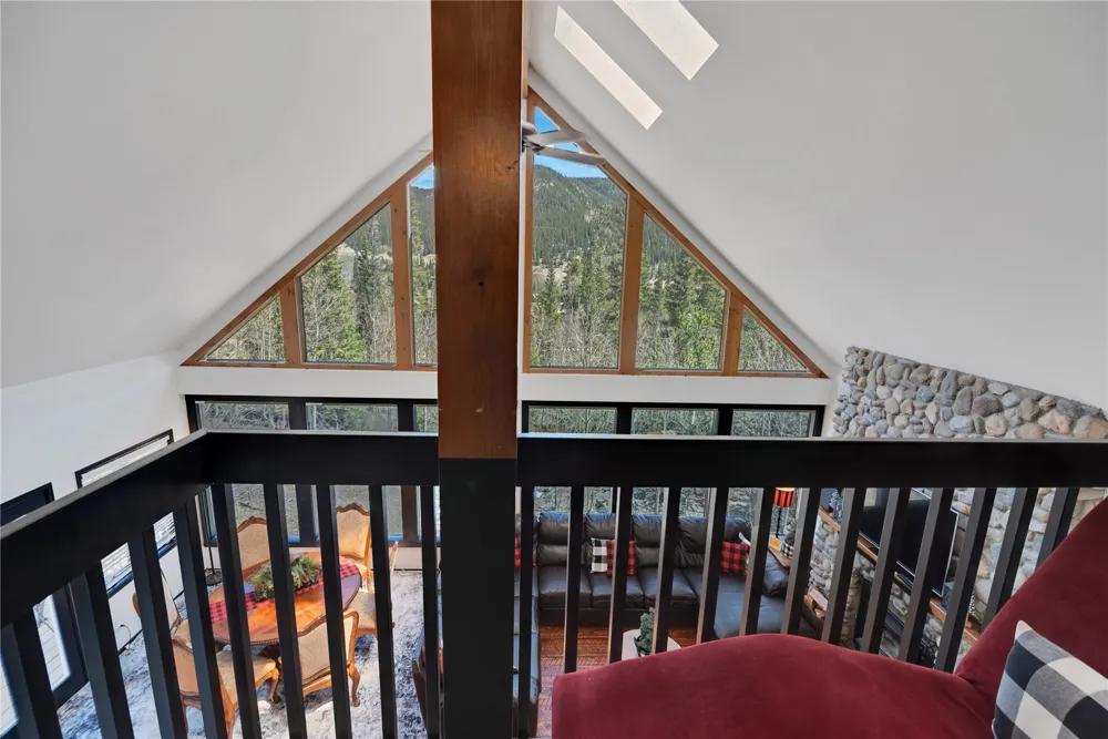 496 Quartzville Road Alma, CO 80420