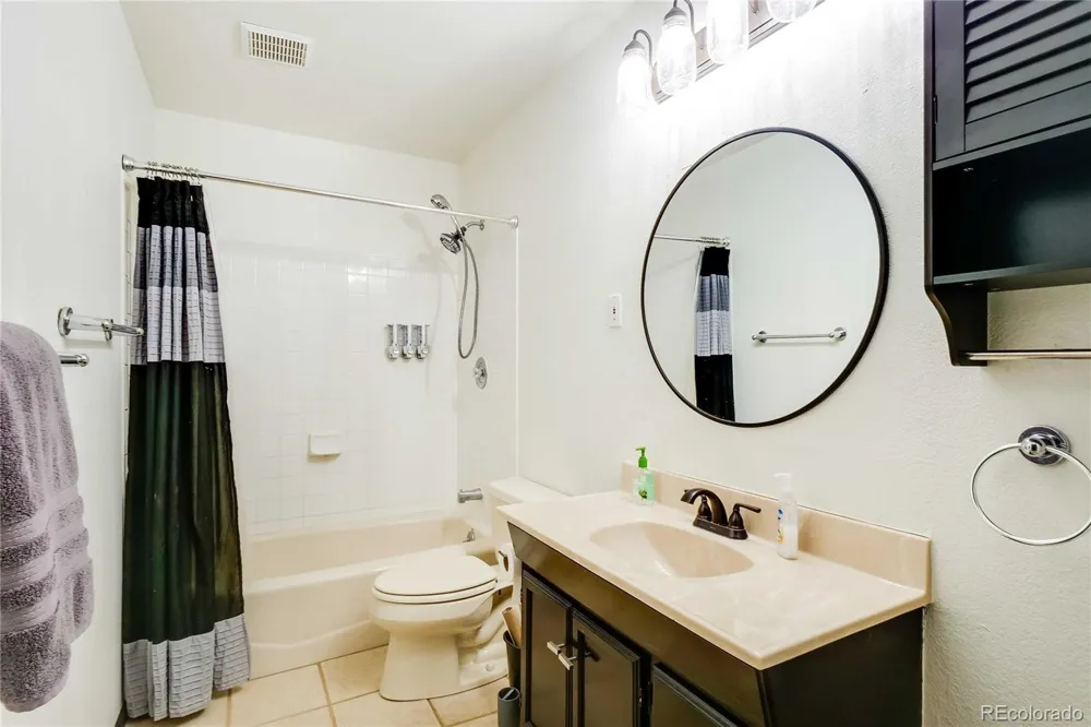 496 Quartzville Road Alma, CO 80420