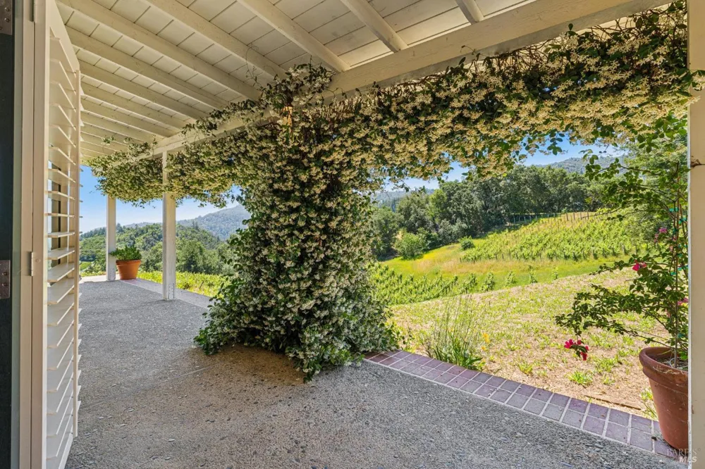 1975 Whitehall Lane St. Helena, CA 94574