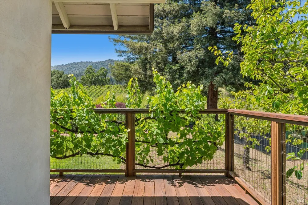 1975 Whitehall Lane St. Helena, CA 94574