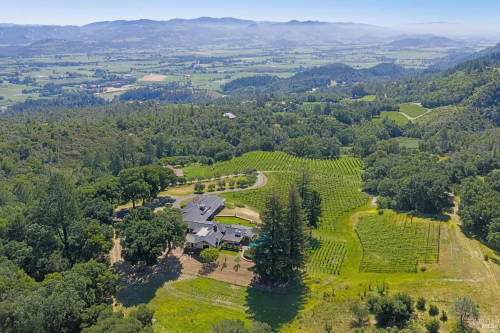 1975 Whitehall Lane St. Helena, CA 94574