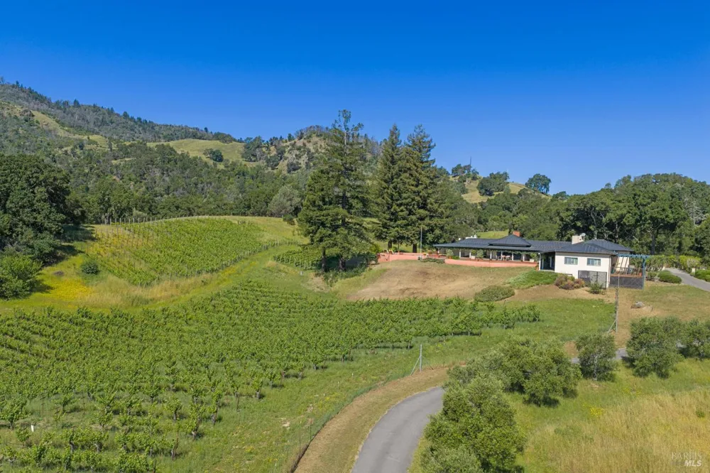 1975 Whitehall Lane St. Helena, CA 94574