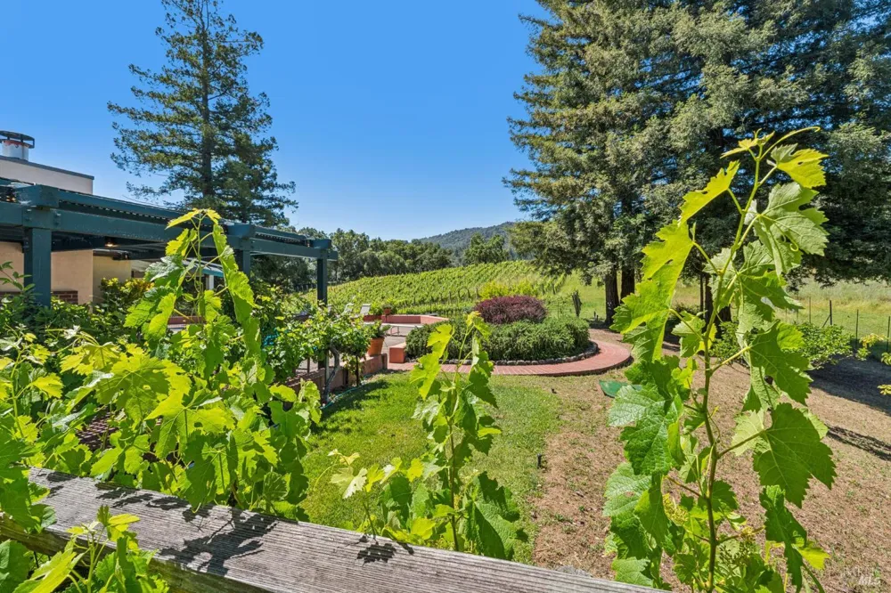 1975 Whitehall Lane St. Helena, CA 94574