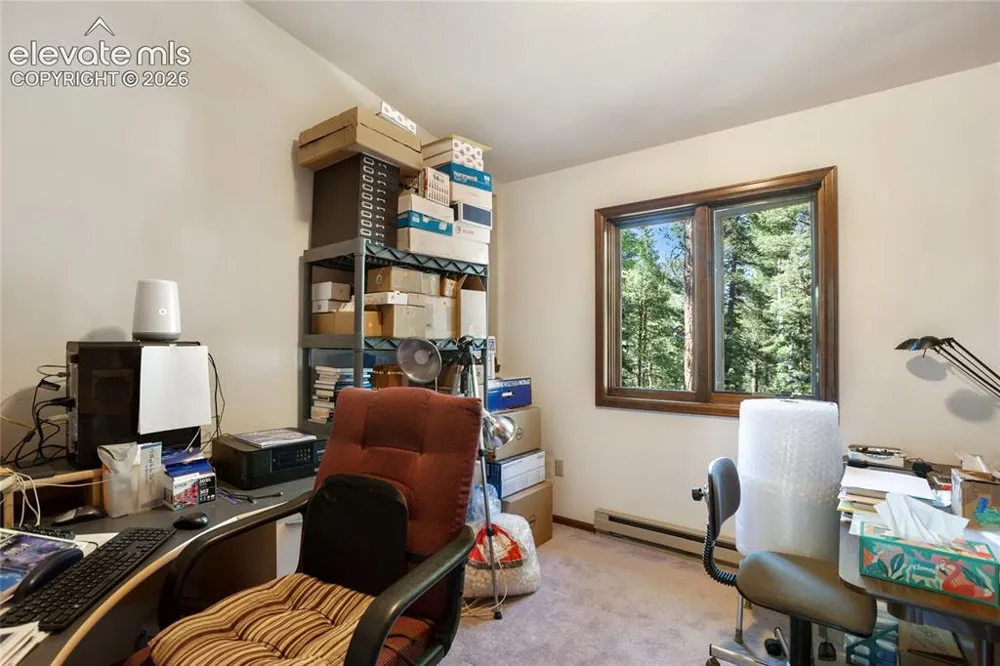 886 Cottonwood Lake Drive Divide, CO 80814
