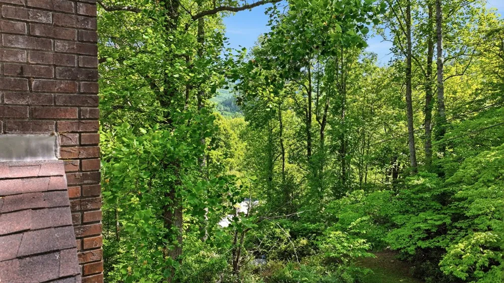Pee Wee Branch Sylva, NC 28779
