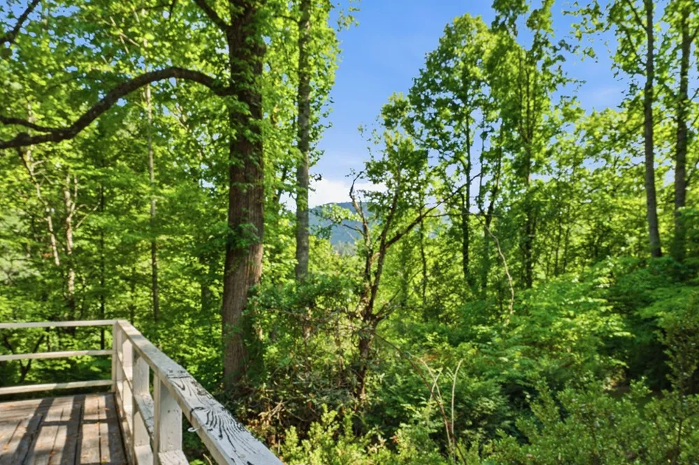 Pee Wee Branch Sylva, NC 28779