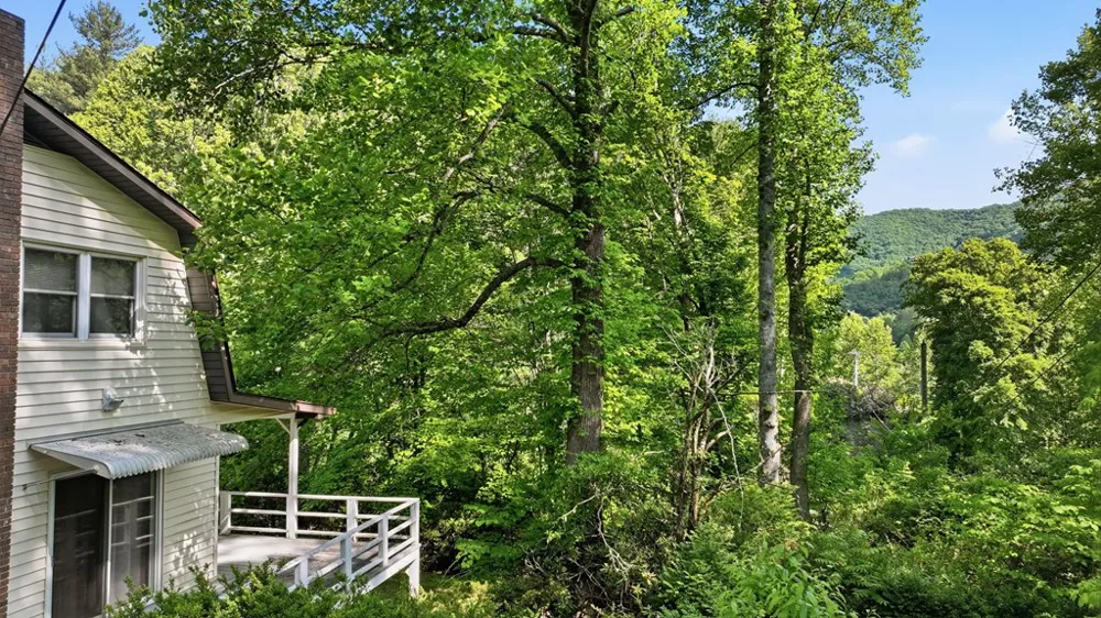 Pee Wee Branch Sylva, NC 28779