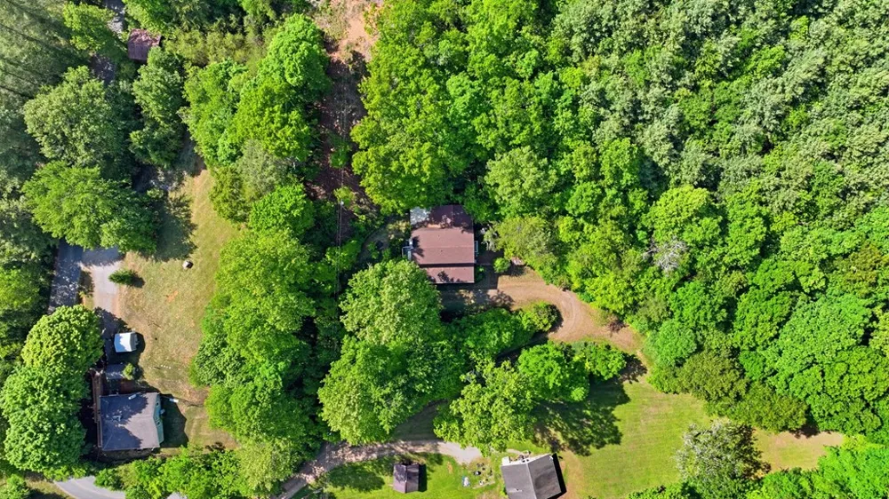 Pee Wee Branch Sylva, NC 28779