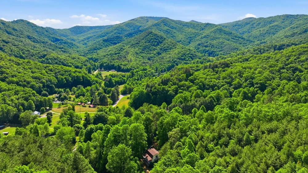 Pee Wee Branch Sylva, NC 28779