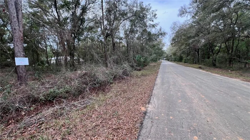 3176 E John Lane Inverness, FL 34453
