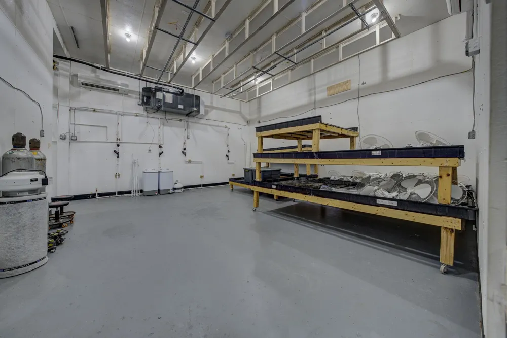 4135 Schoolcraft Kearney Township, MI 49615