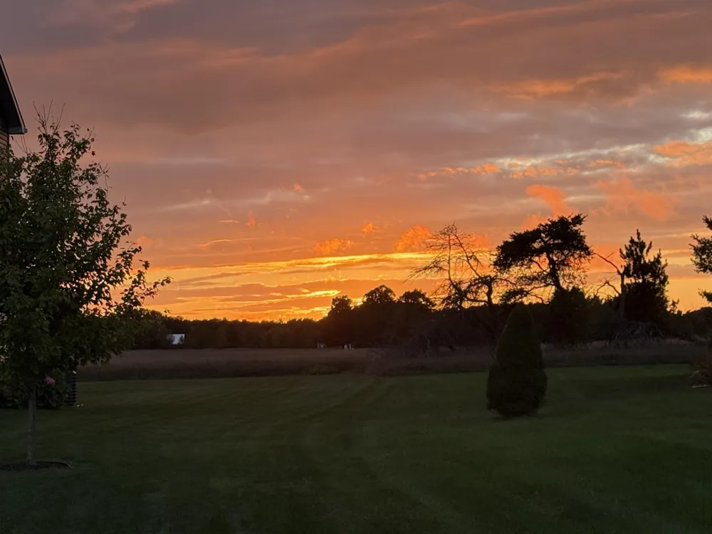 1364 Saffron Circle East Bay Township, MI 49696