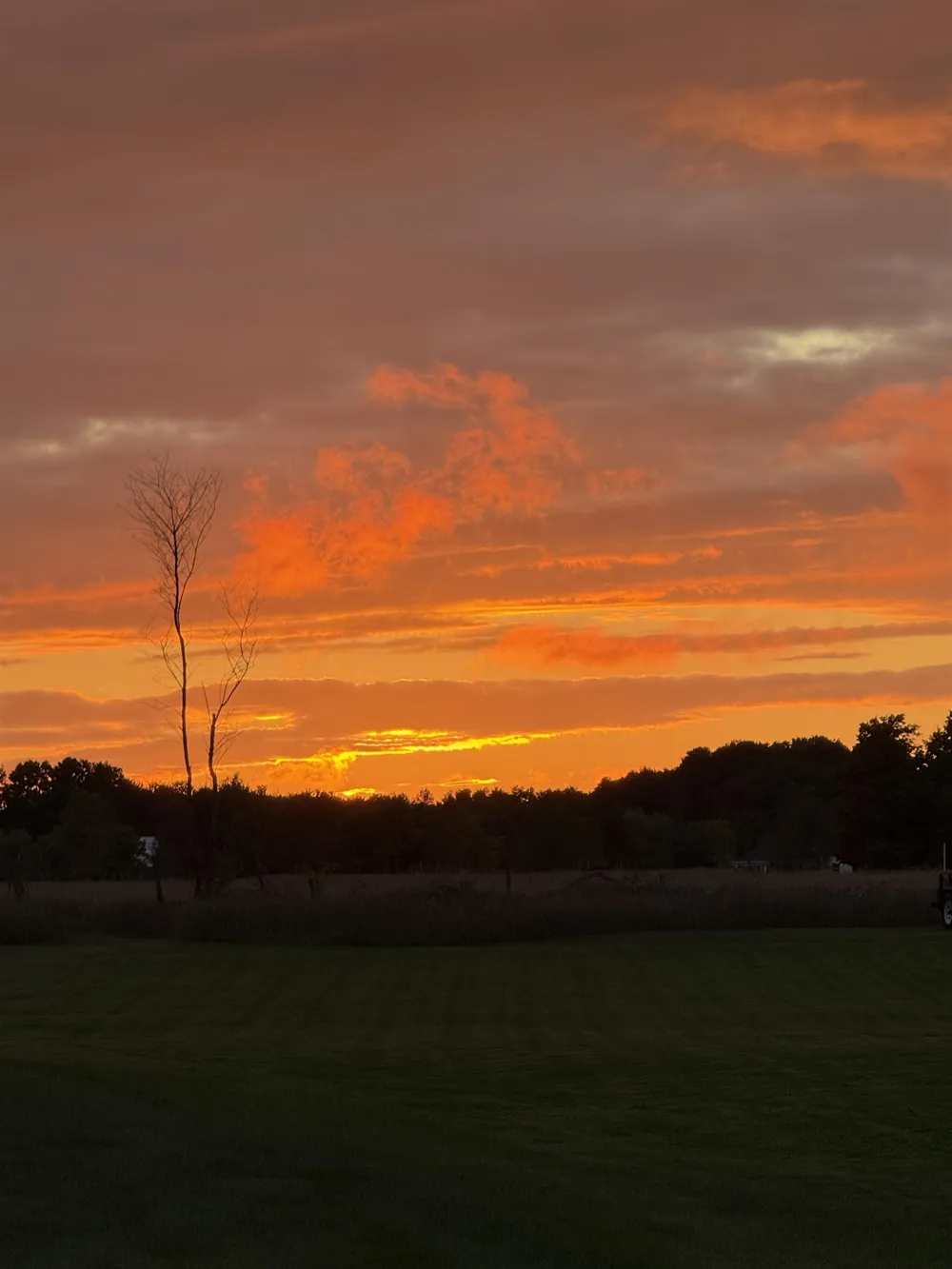 1364 Saffron Circle East Bay Township, MI 49696