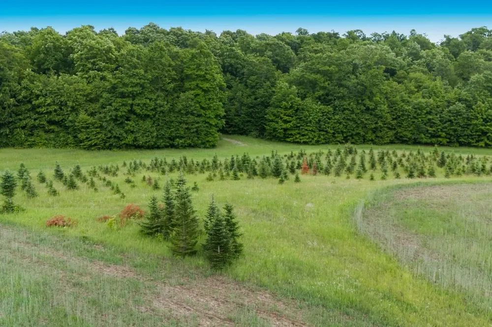 1551 Macksey Road Suttons Bay Township, MI 49682