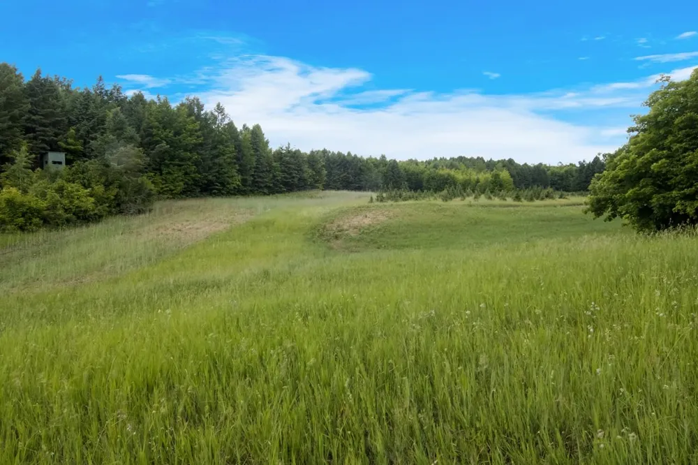 1551 Macksey Road Suttons Bay Township, MI 49682