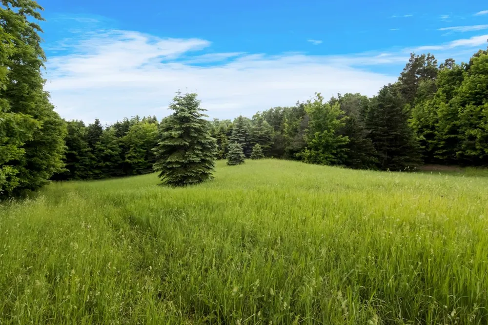 1551 Macksey Road Suttons Bay Township, MI 49682