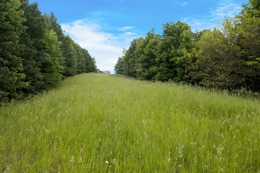 1551 Macksey Road Suttons Bay Township, MI 49682
