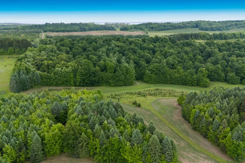 1551 Macksey Road Suttons Bay Township, MI 49682