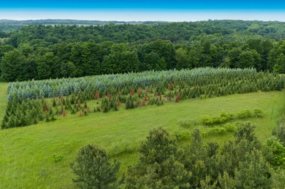 1551 Macksey Road Suttons Bay Township, MI 49682
