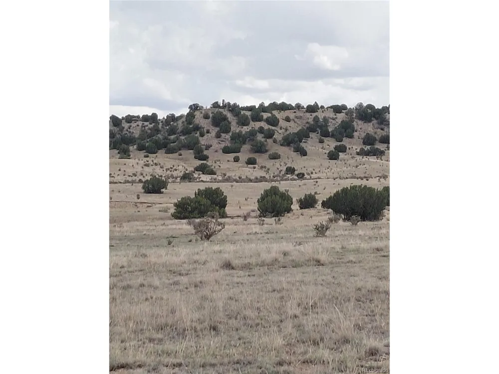 62 Horse Creek Road Pueblo, CO 81004
