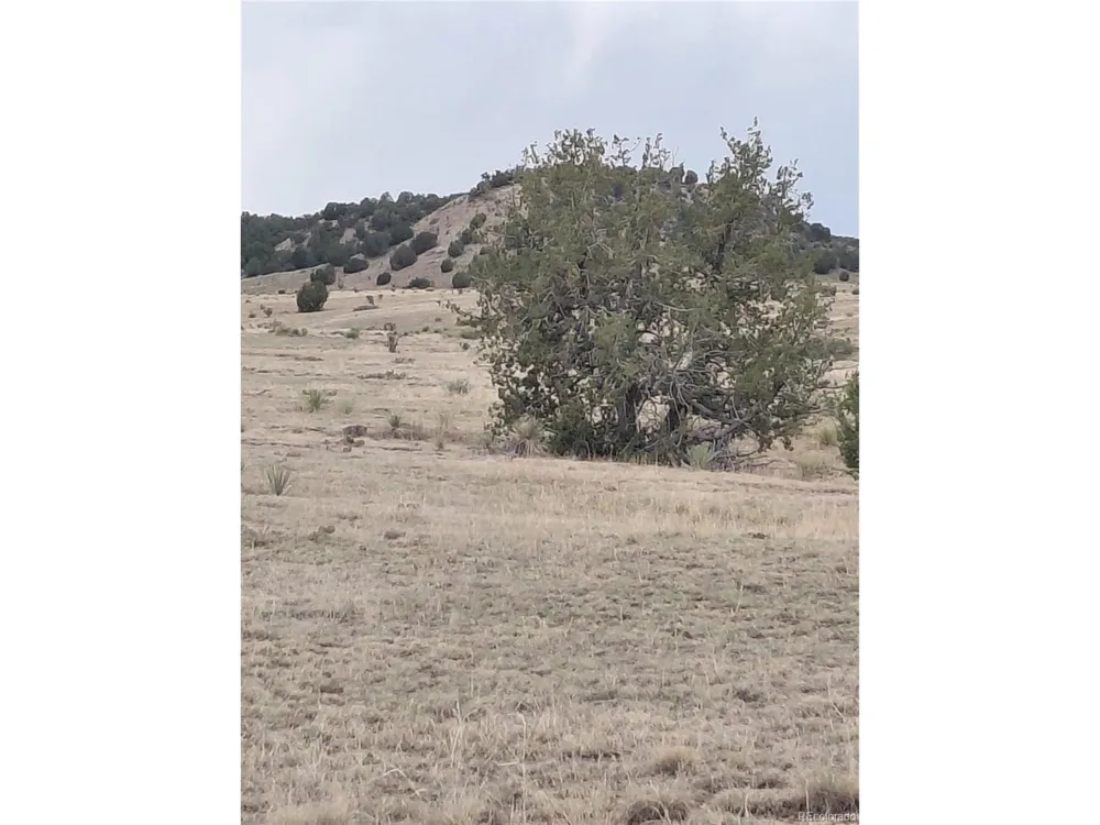62 Horse Creek Road Pueblo, CO 81004
