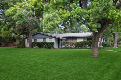 341 Arcadia Street