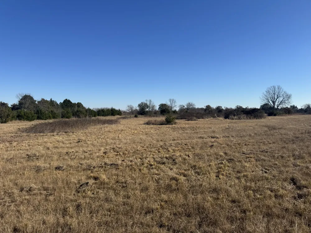CR 25100 Roxton, TX 75477