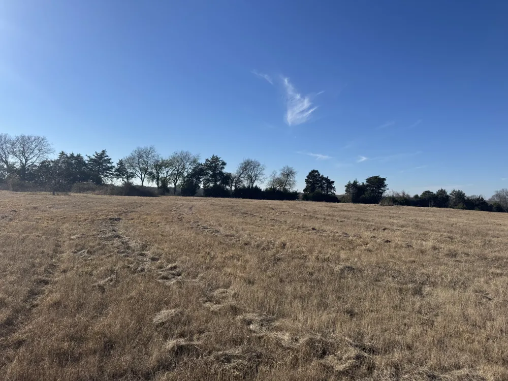 CR 25100 Roxton, TX 75477