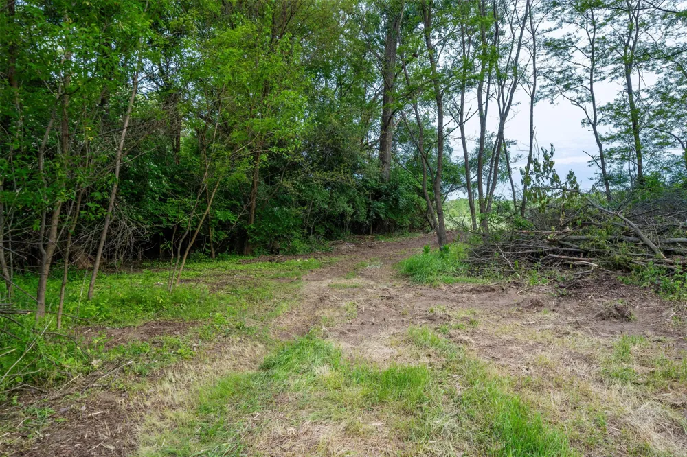 Jewell Road Milan, MI 48160
