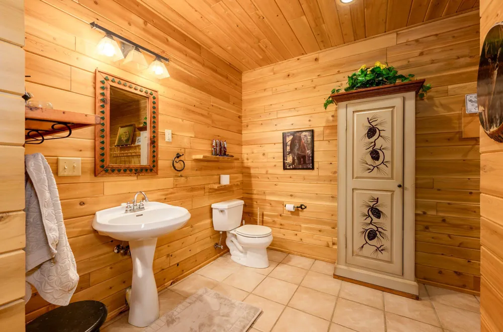 51748 Pine Point Lane Bigfork, MN 56628
