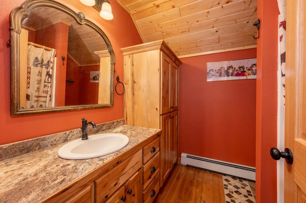 51748 Pine Point Lane Bigfork, MN 56628