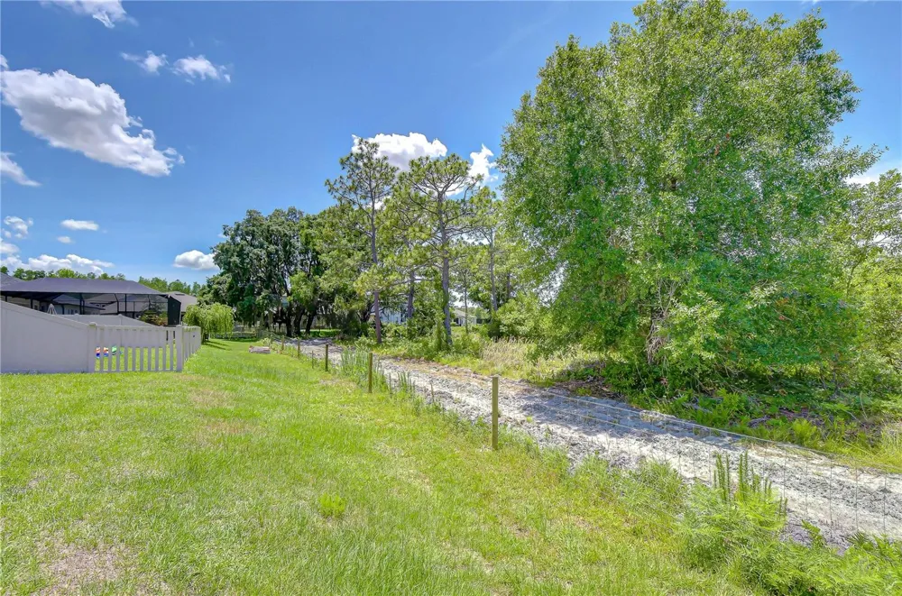 21534 VIOLET PERIWINKLE DRIVE Land O Lakes, FL 34637