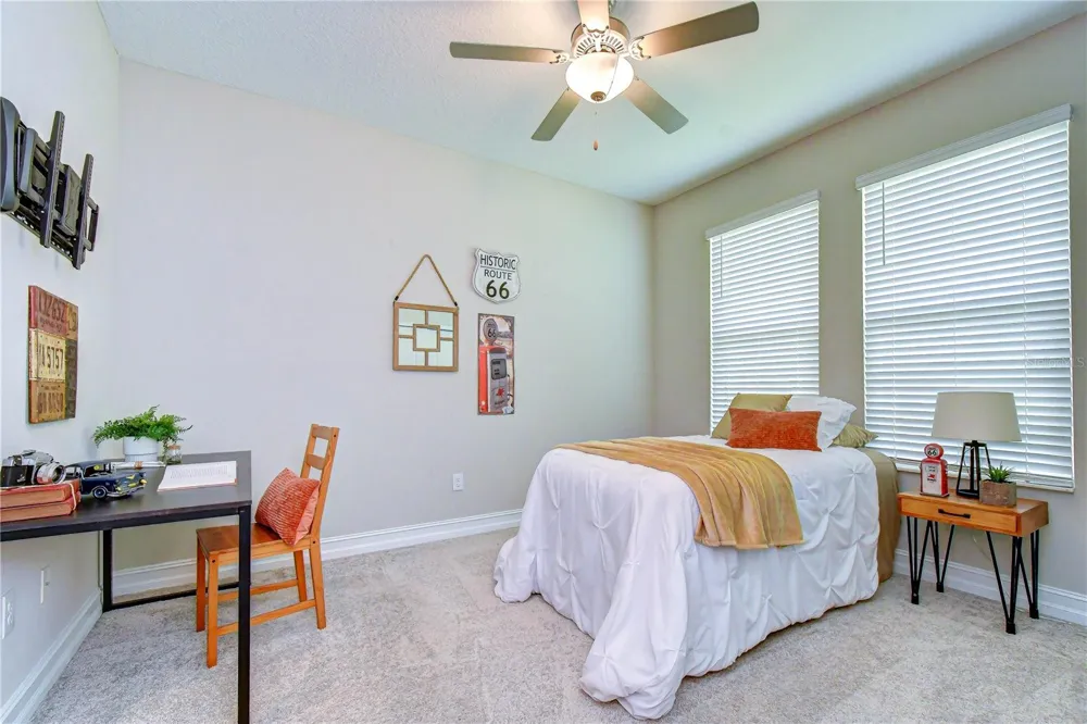 21534 VIOLET PERIWINKLE DRIVE Land O Lakes, FL 34637
