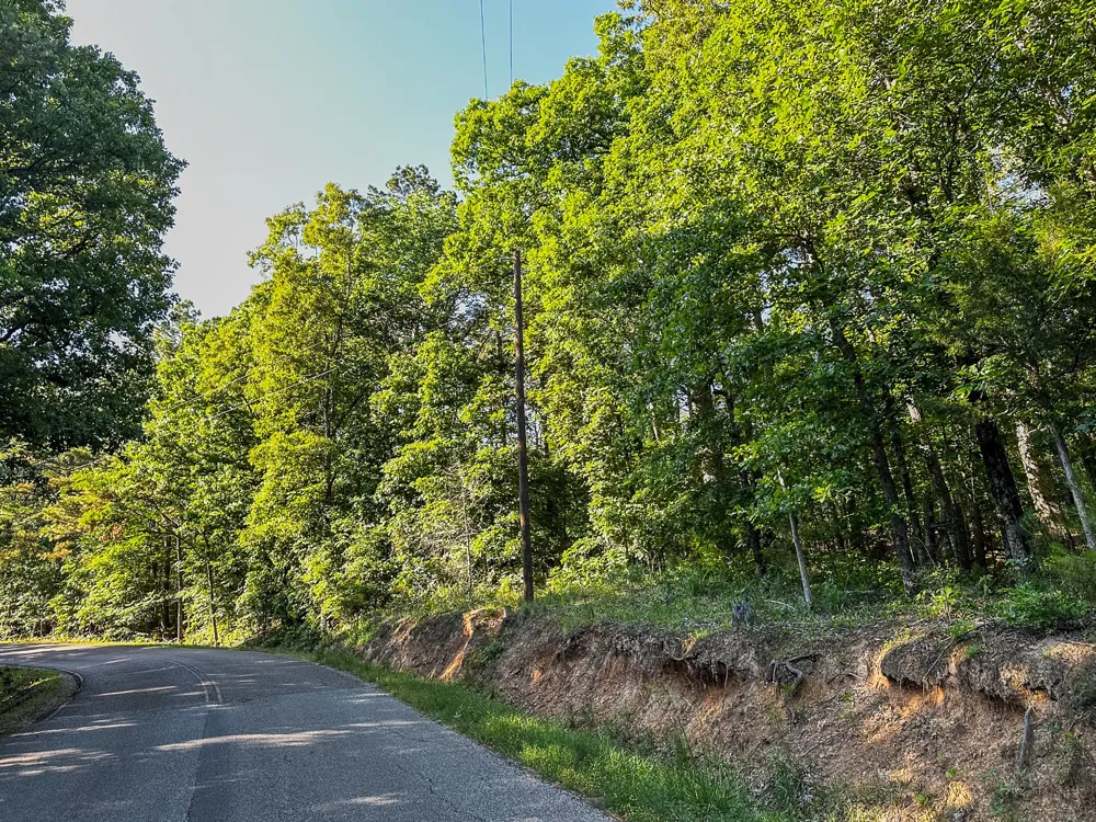 0 Post Office Rd Michie, TN 38357