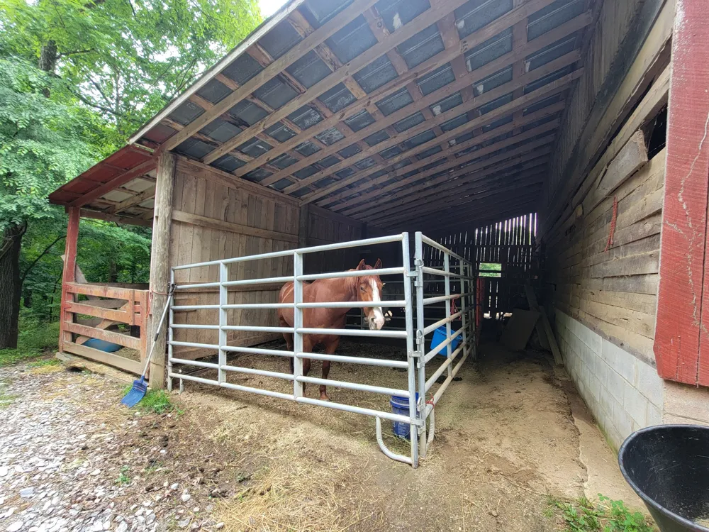 1089 Jim Clark Rd Erin, TN 37061
