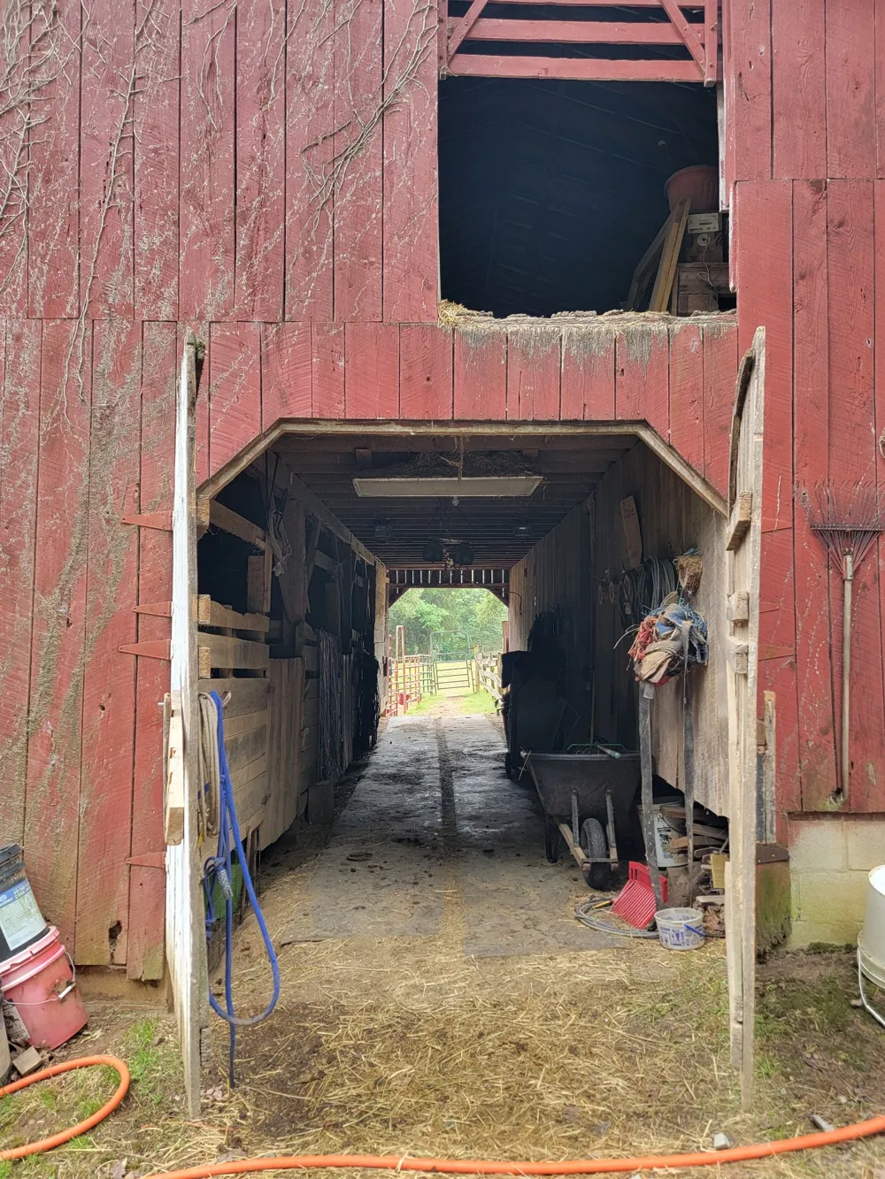 1089 Jim Clark Rd Erin, TN 37061