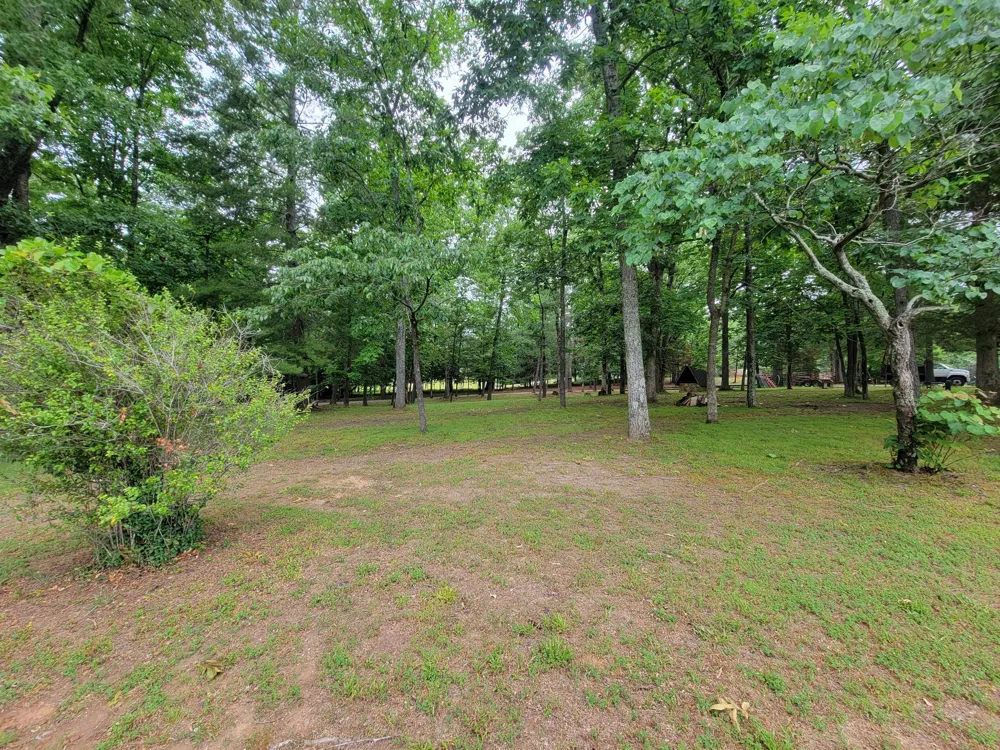 1089 Jim Clark Rd Erin, TN 37061
