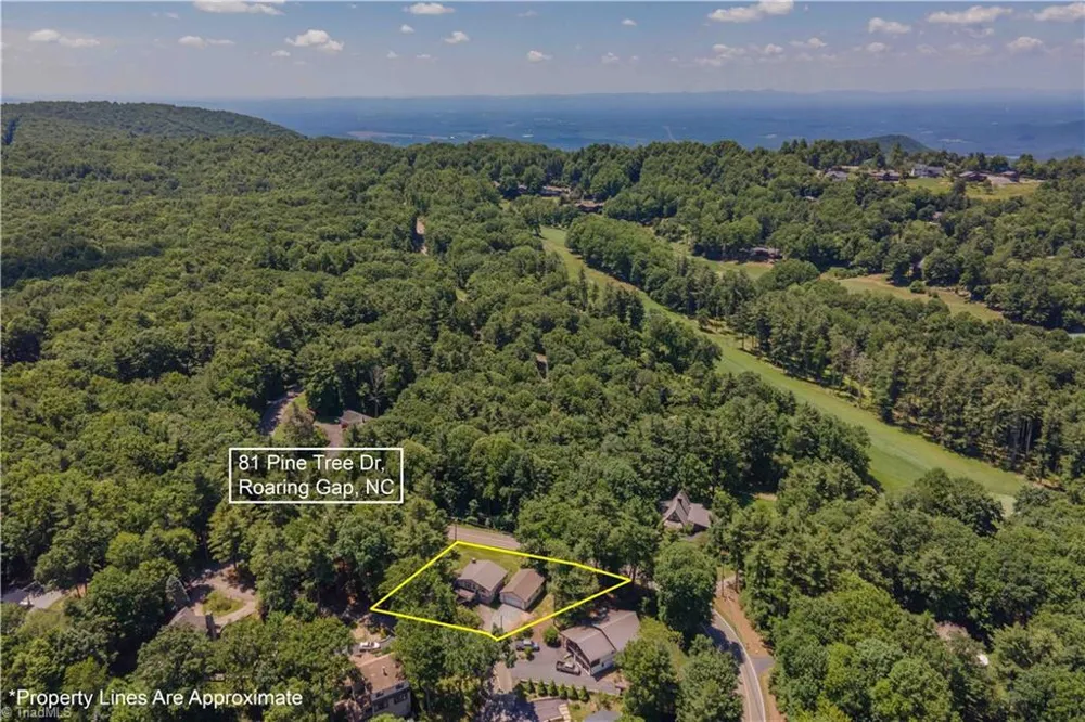 81 Pine Tree Drive Roaring Gap, NC 28668