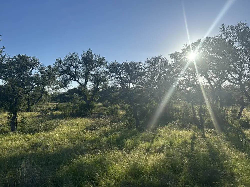 13 Legacy Hillls Drive Johnson City, TX 78636