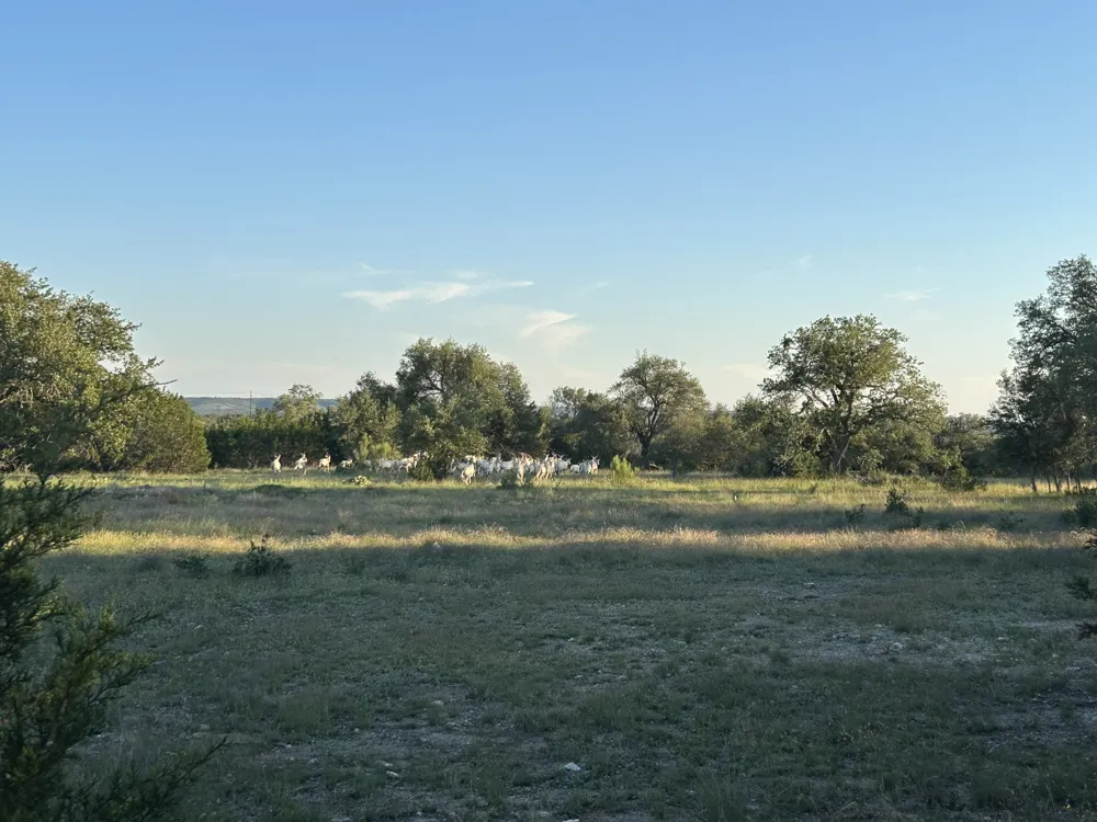 13 Legacy Hillls Drive Johnson City, TX 78636