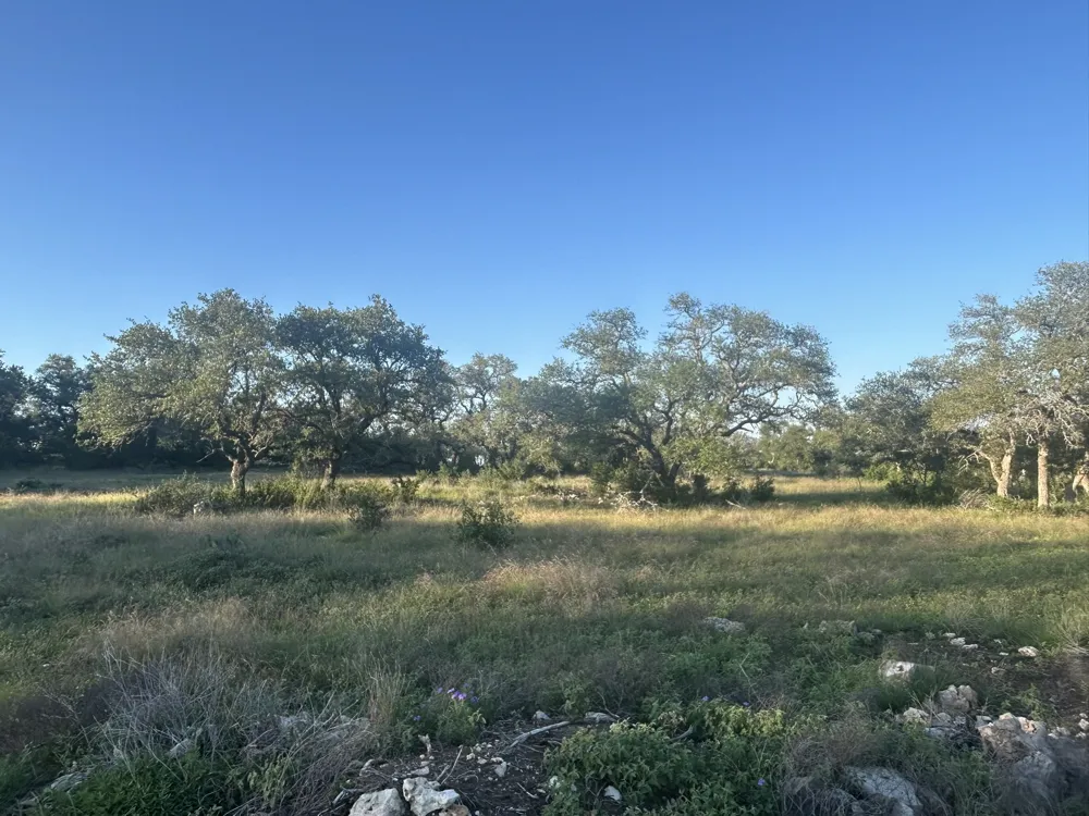 13 Legacy Hillls Drive Johnson City, TX 78636