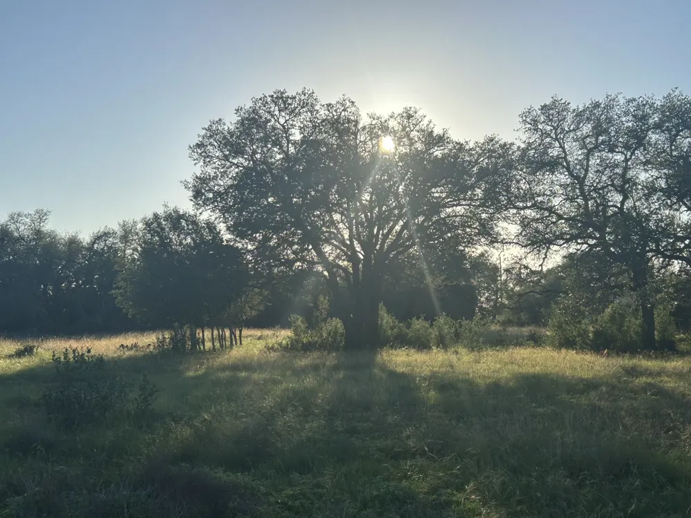 13 Legacy Hillls Drive Johnson City, TX 78636