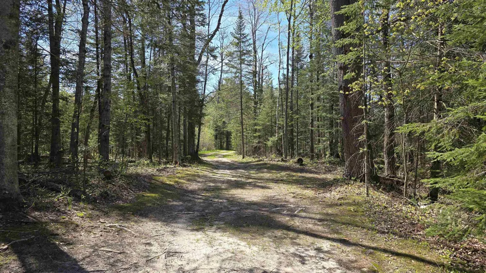 Lund Road, Sw Springfield Township, MI 49633