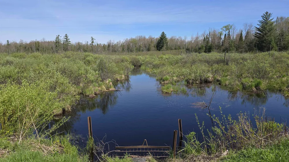 Lund Road, Sw Springfield Township, MI 49633