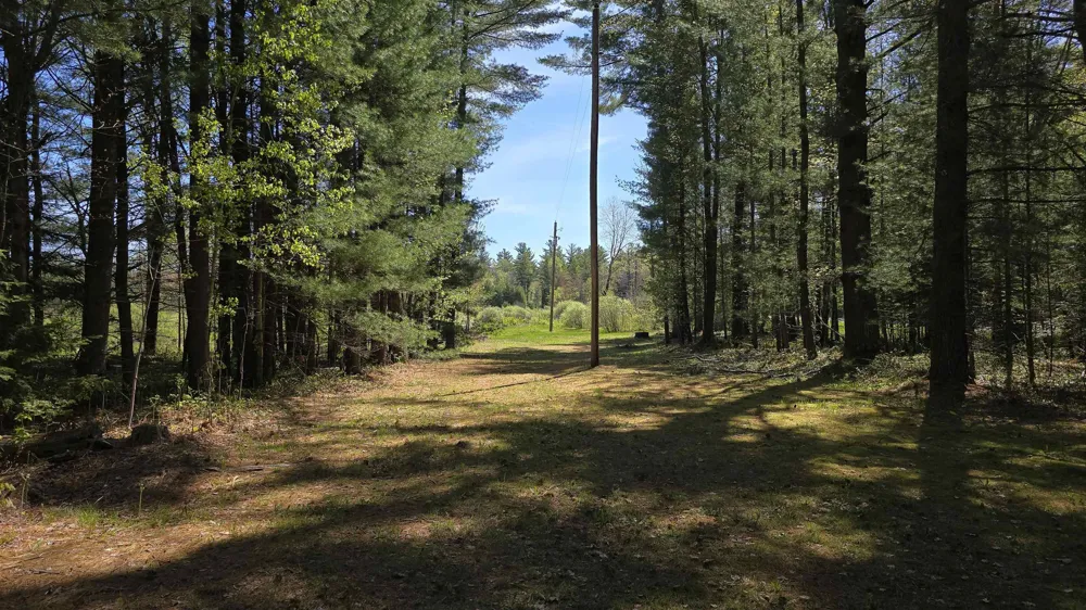 Lund Road, Sw Springfield Township, MI 49633