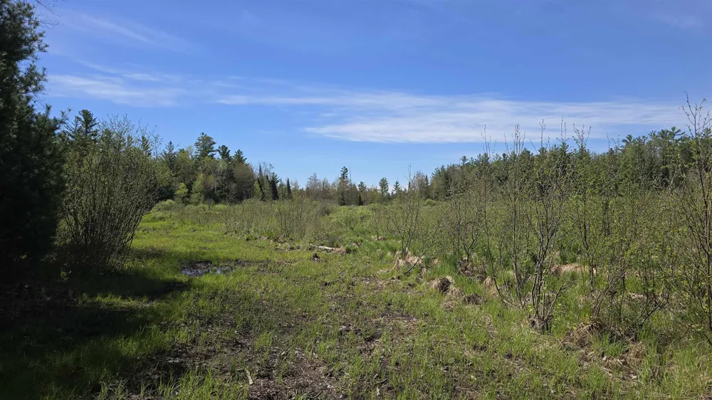 Lund Road, Sw Springfield Township, MI 49633
