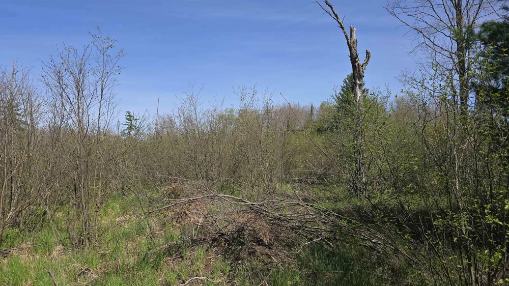 Lund Road, Sw Springfield Township, MI 49633