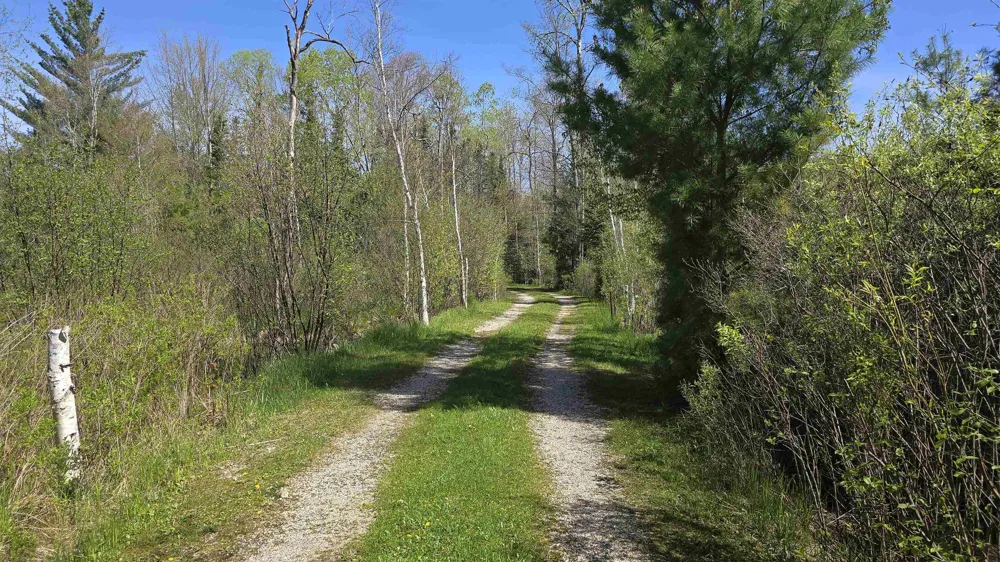 Lund Road, Sw Springfield Township, MI 49633